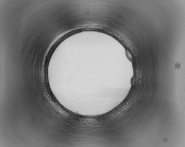 X0000096180784200802151440