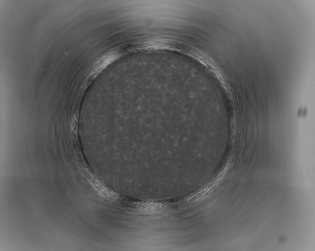 X0000096180785200802151440