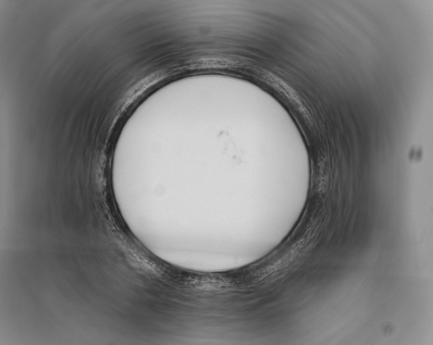 X0000096180786200802151440