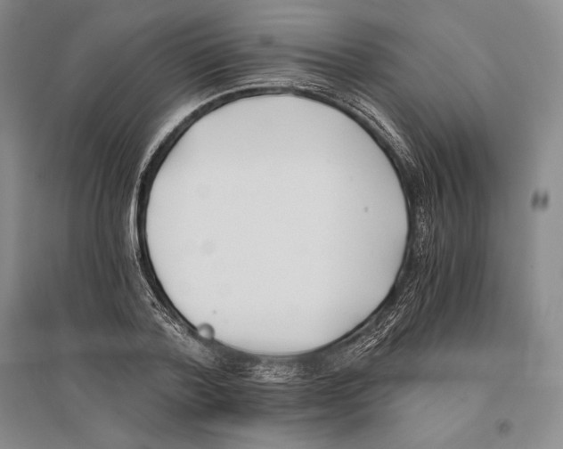 X0000096180788200802151440