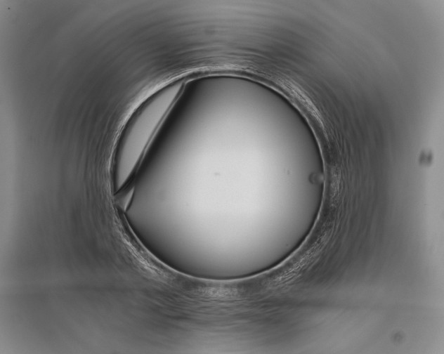 X0000096180789200802151440