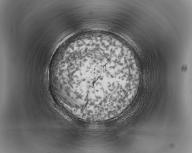 X0000096180790200802151440