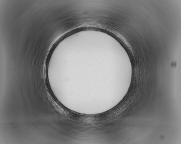 X0000096180791200802151440