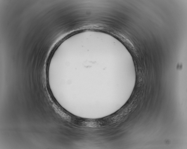 X0000096180792200802151440