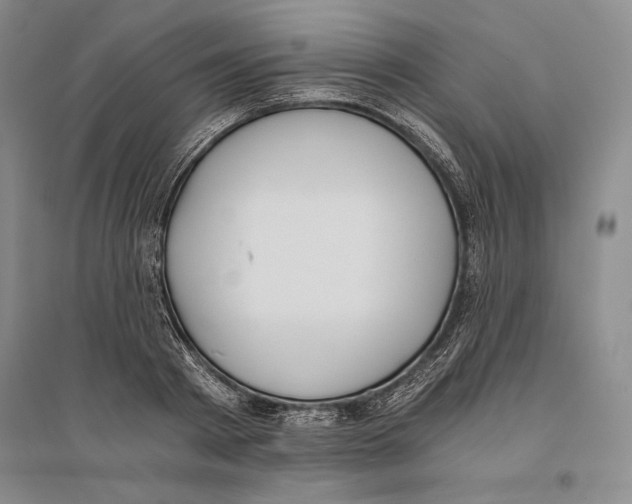 X0000096180793200802151440