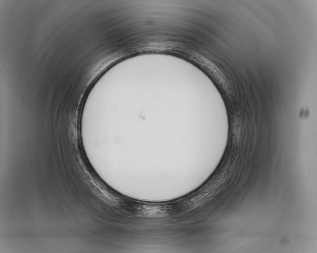 X0000096180794200802151440