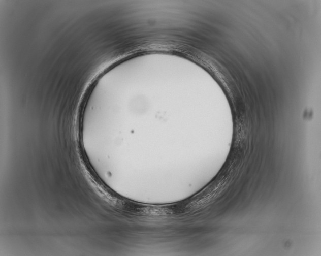 X0000096180795200802151440