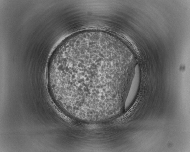 X0000096180796200802151440