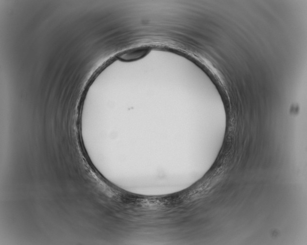 X0000096180799200802151440