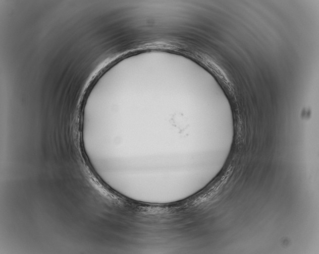 X0000096180800200802151440