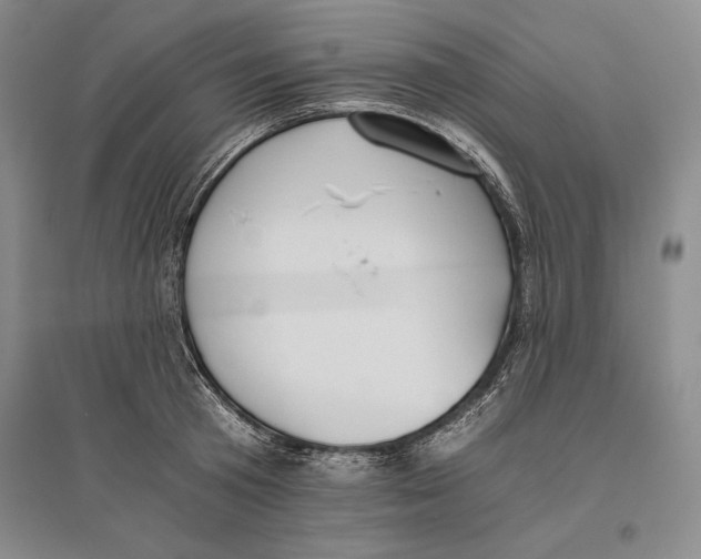 X0000096180801200802151440