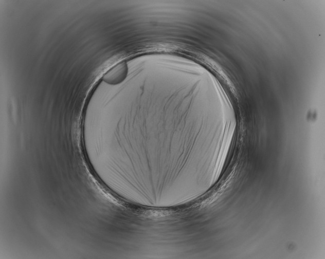 X0000096180802200802151440
