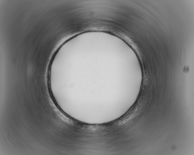 X0000096180803200802151440