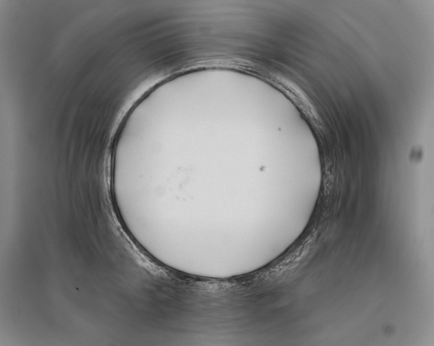 X0000096180804200802151440
