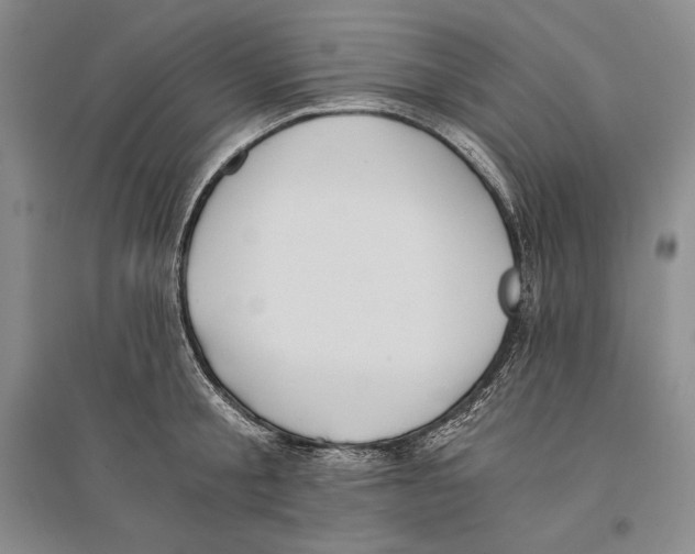 X0000096180805200802151440