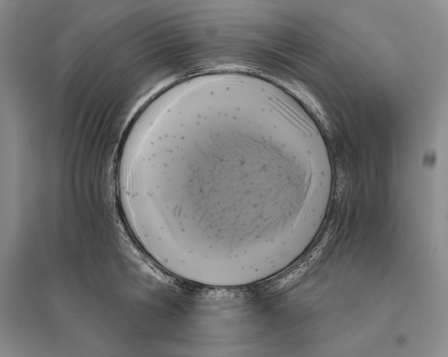 X0000096180806200802151440