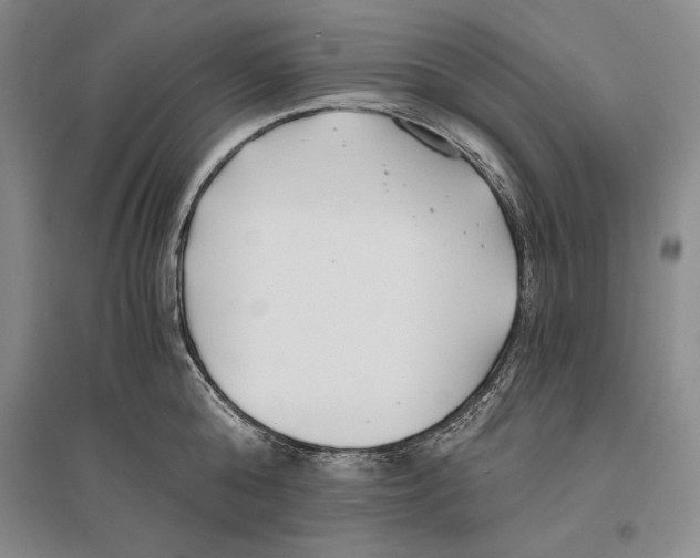 X0000096180808200802151440