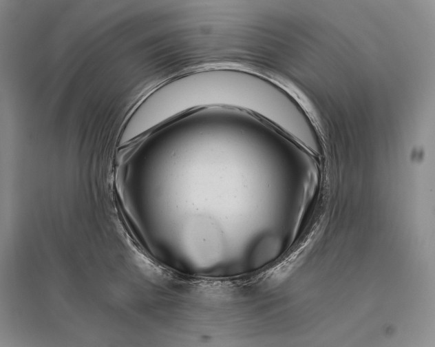X0000096180809200802151440