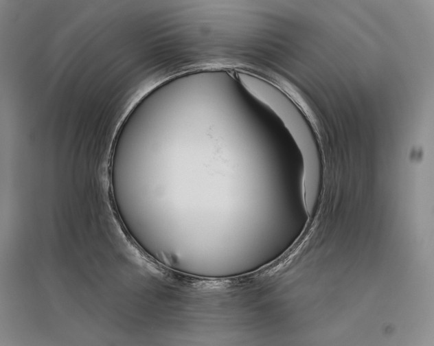 X0000096180810200802151440
