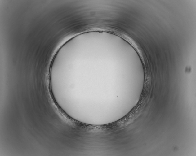 X0000096180811200802151440