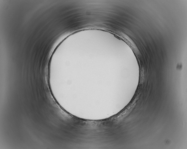 X0000096180812200802151440