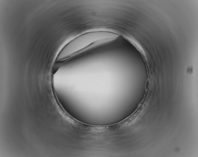 X0000096180813200802151440