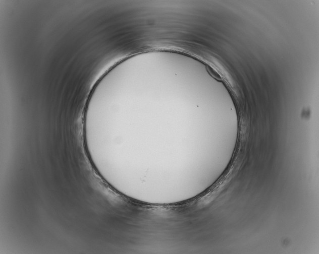 X0000096180814200802151440