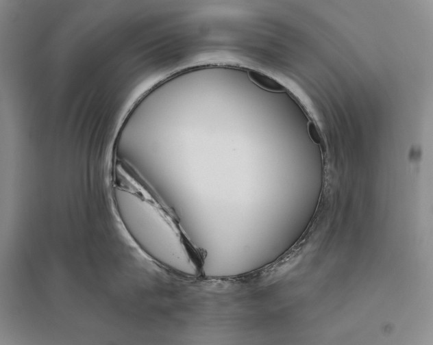 X0000096180815200802151440