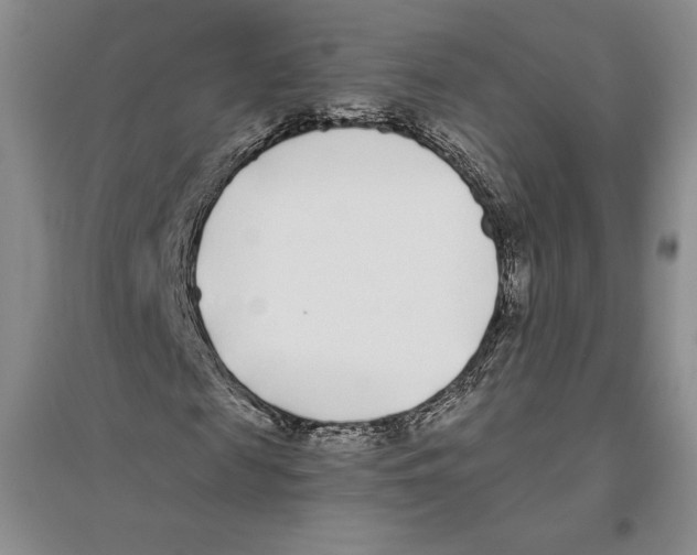 X0000096180817200802151439