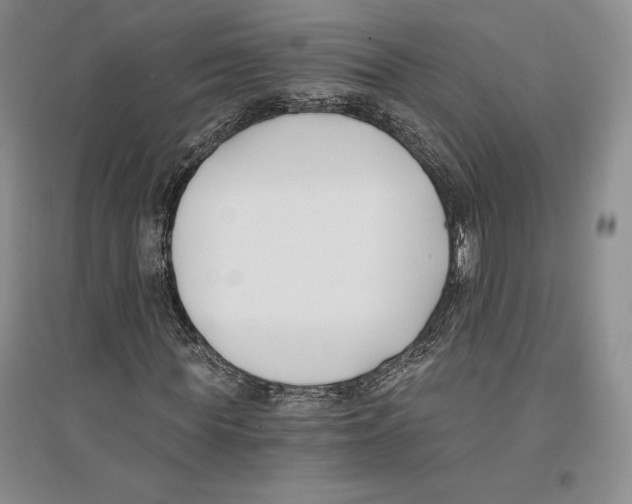 X0000096180819200802151439