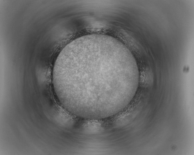 X0000096180820200802151439
