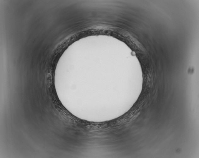 X0000096180821200802151439