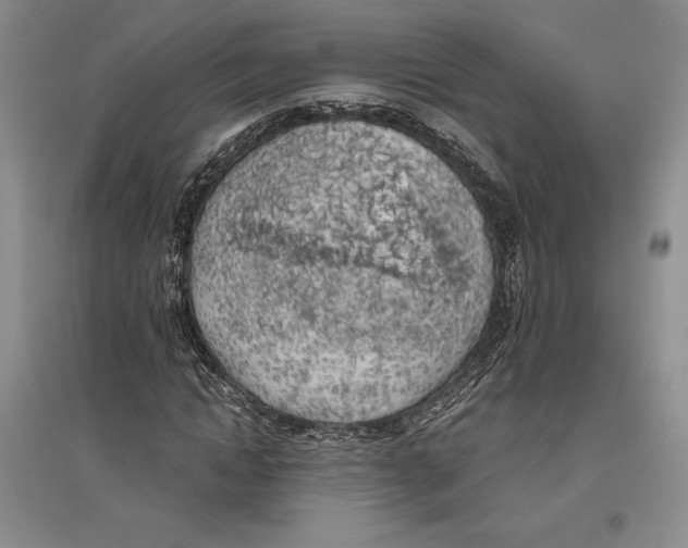 X0000096180822200802151439