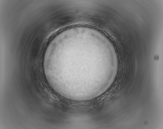 X0000096180824200802151439