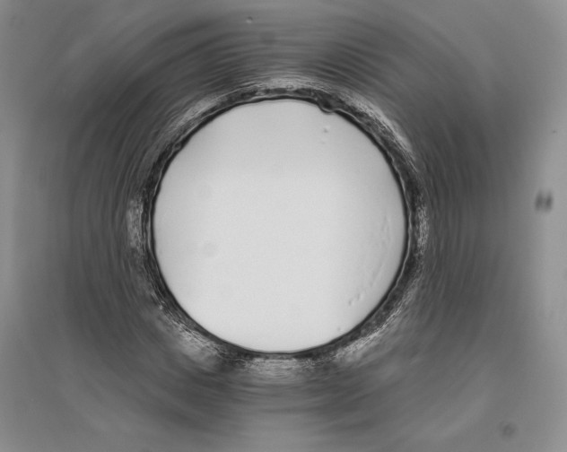 X0000096180825200802151439