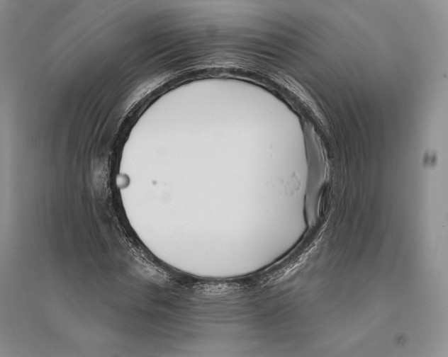 X0000096180826200802151439