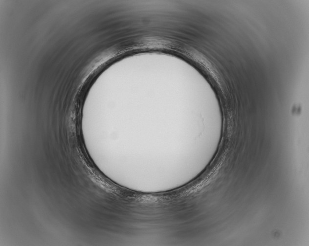 X0000096180827200802151439