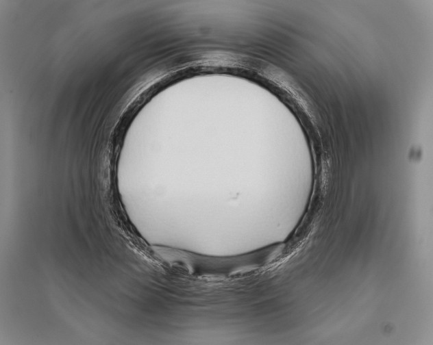 X0000096180829200802151439