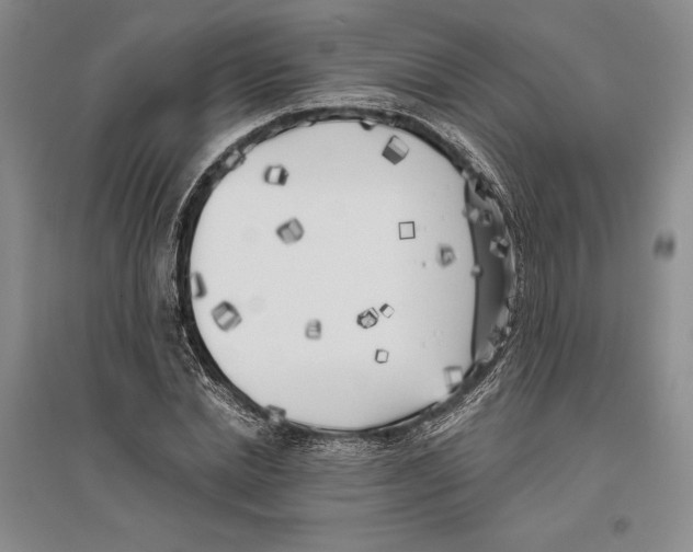 X0000096180830200802151439