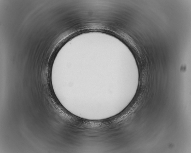 X0000096180831200802151439