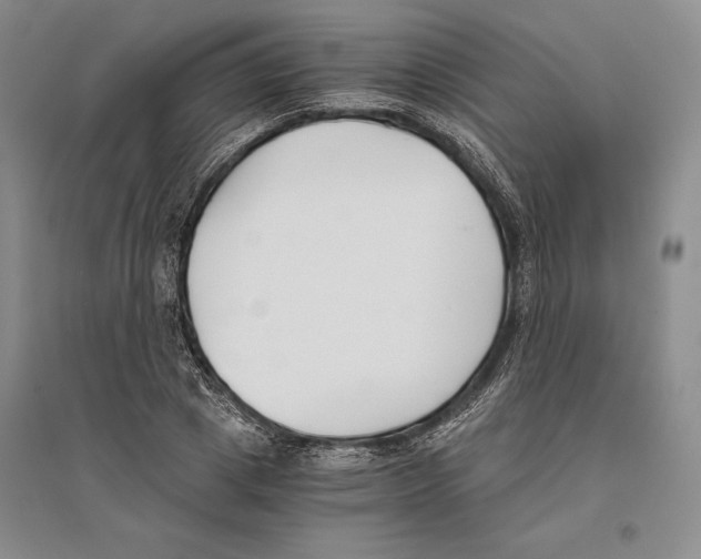X0000096180833200802151439