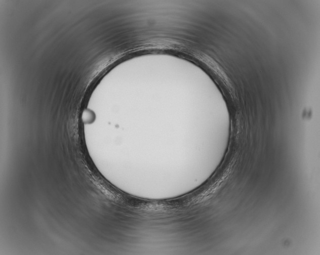 X0000096180834200802151439