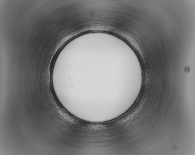 X0000096180837200802151439