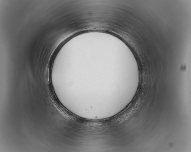 X0000096180838200802151439