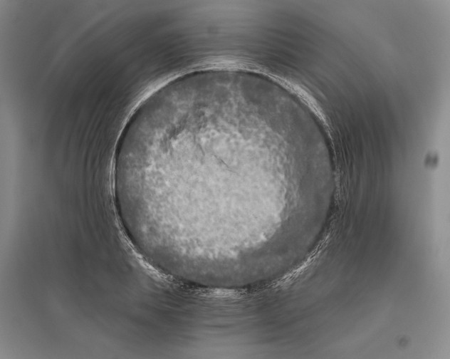X0000096180839200802151439