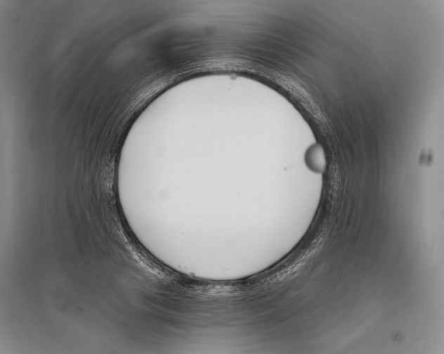 X0000096180841200802151439