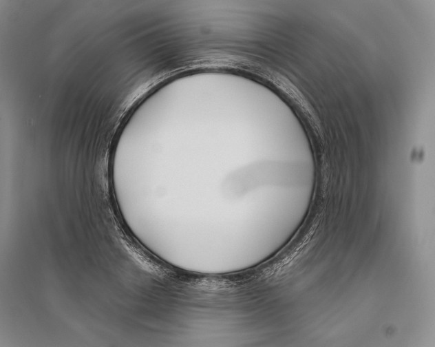 X0000096180842200802151439