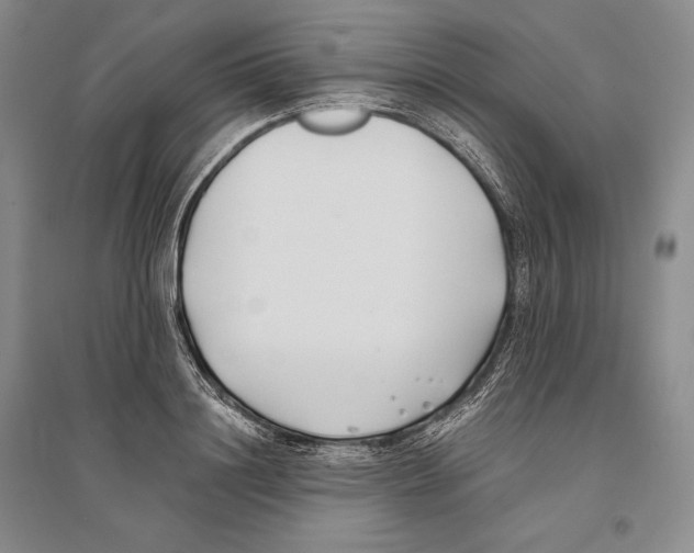 X0000096180844200802151439