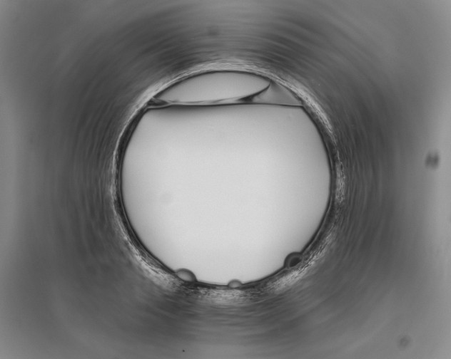 X0000096180845200802151439
