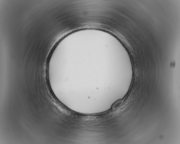 X0000096180846200802151439